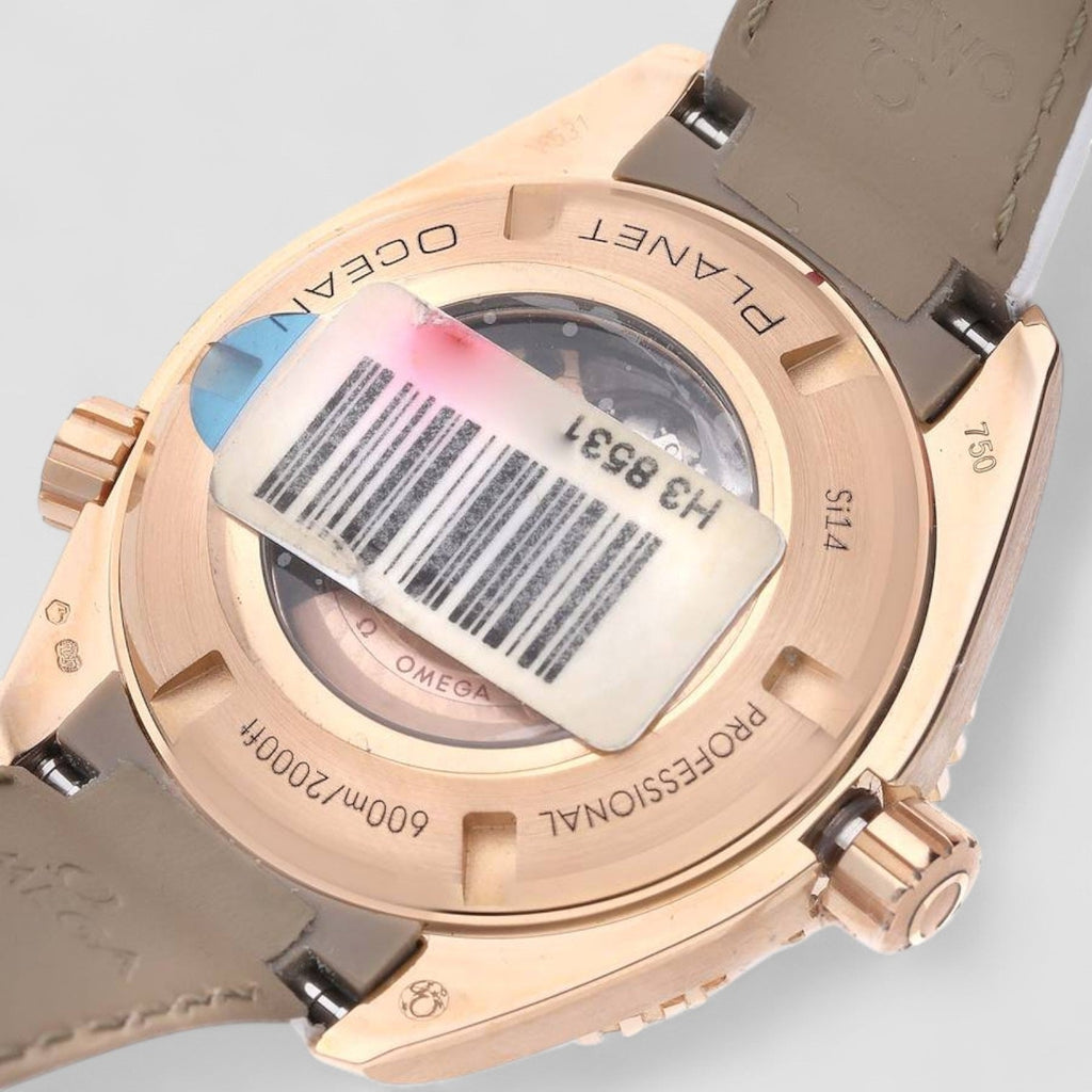 Omega 232.58.38.20.04.001