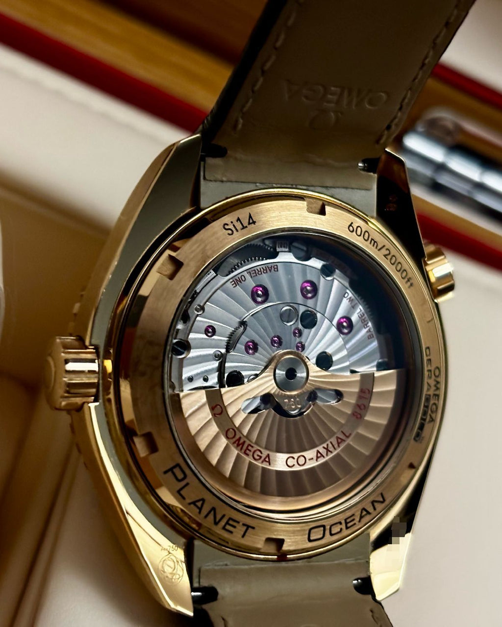 Omega 232.63.44.22.01.001