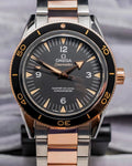 Omega 233.20.41.21.01.001