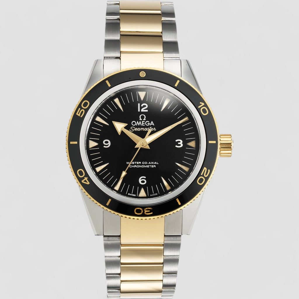 Omega 233.20.41.21.01.002