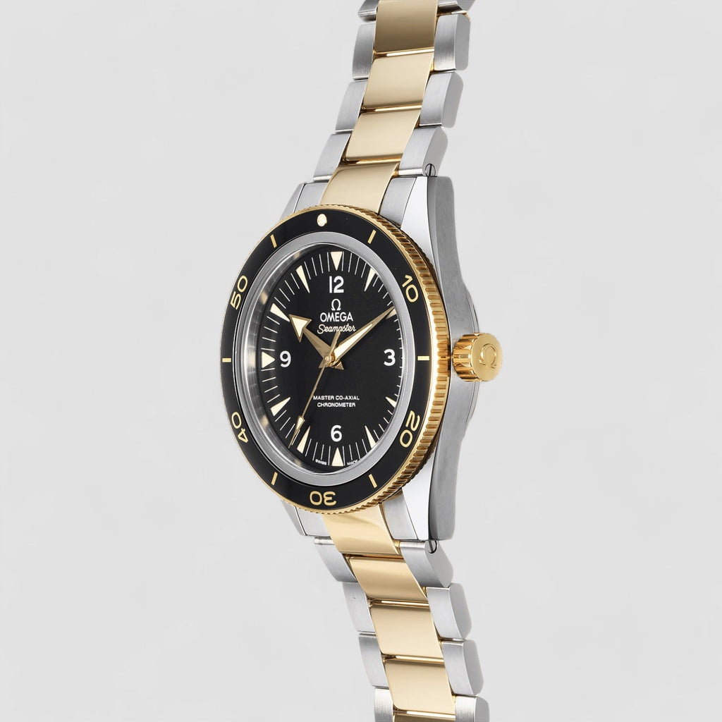 Omega 233.20.41.21.01.002