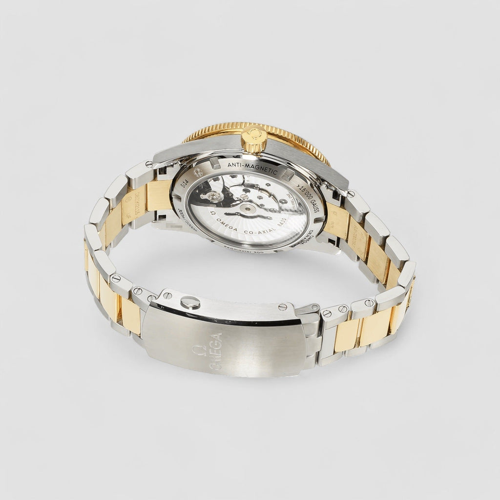 Omega 233.20.41.21.01.002