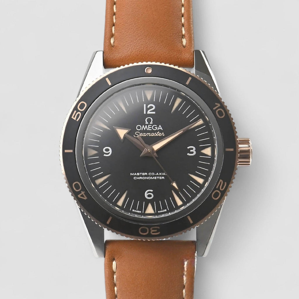 Omega 233.22.41.21.01.002
