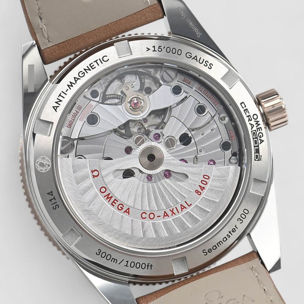 Omega 233.22.41.21.01.002
