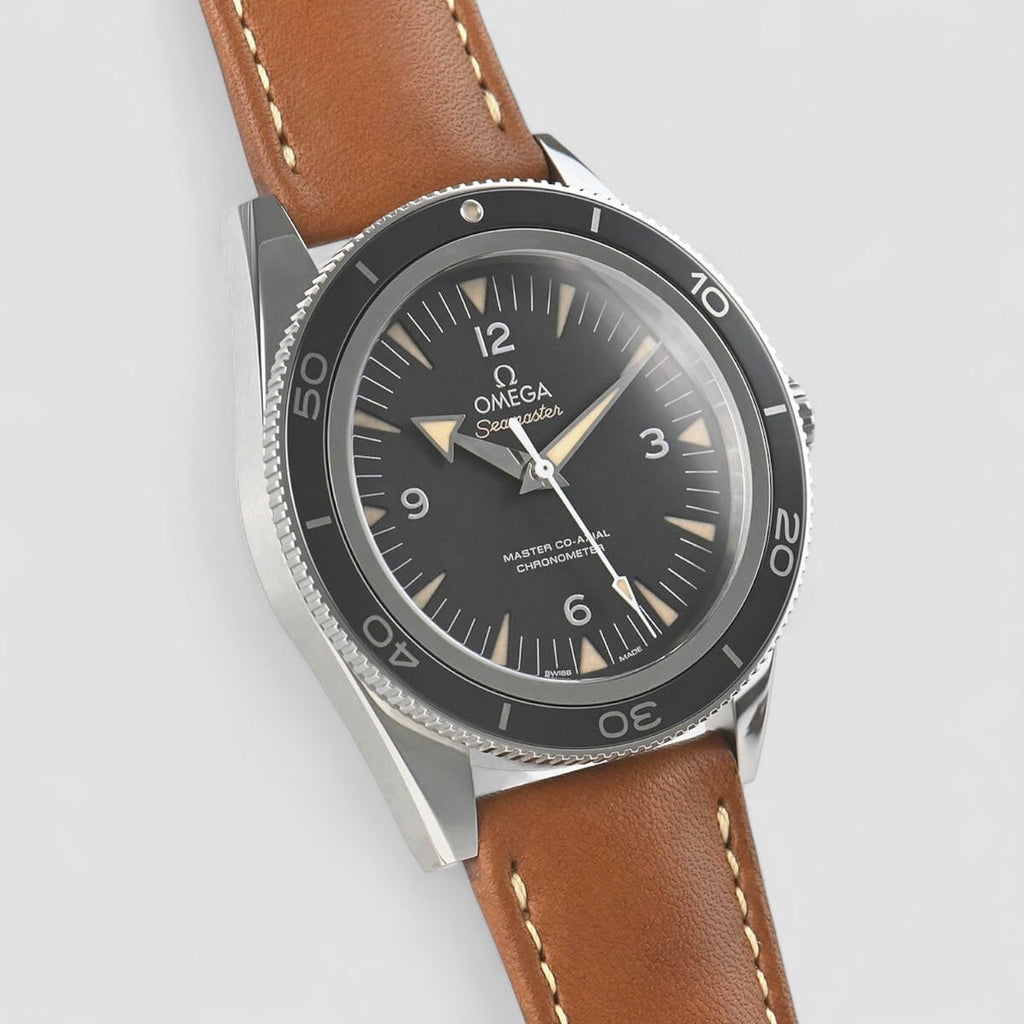 Omega 233.32.41.21.01.002