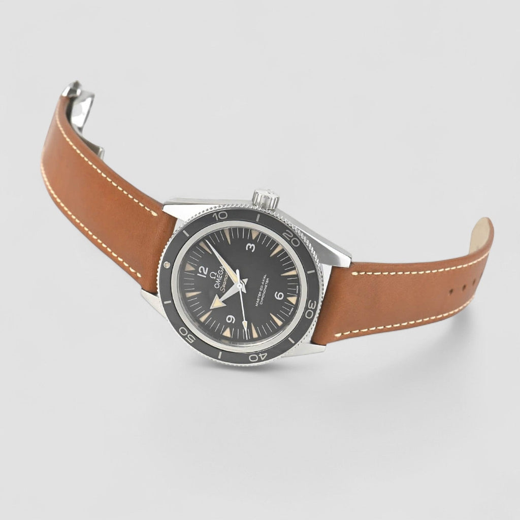 Omega 233.32.41.21.01.002