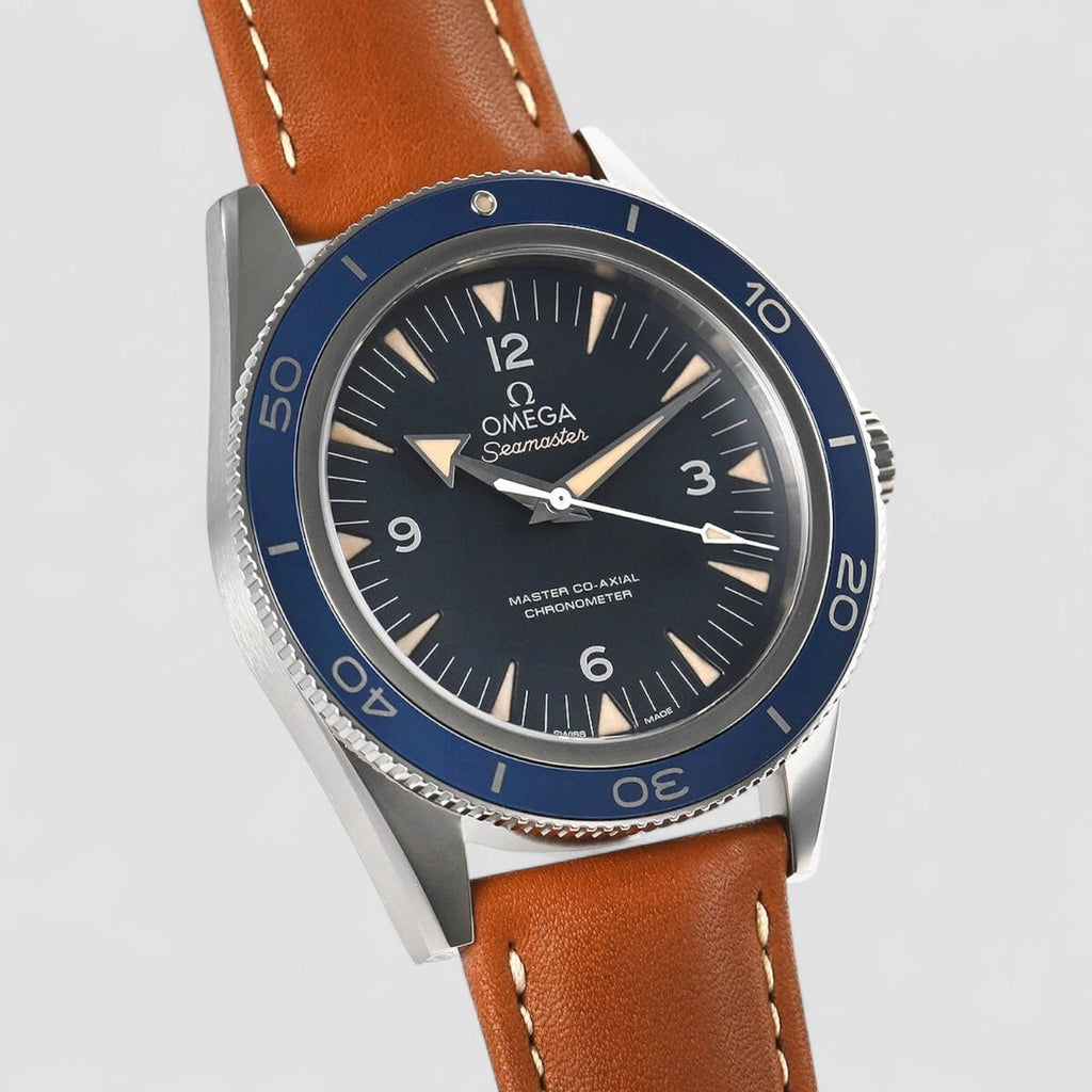 Omega 233.92.41.21.03.001