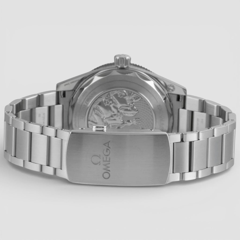 Omega 234.30.41.21.03.002