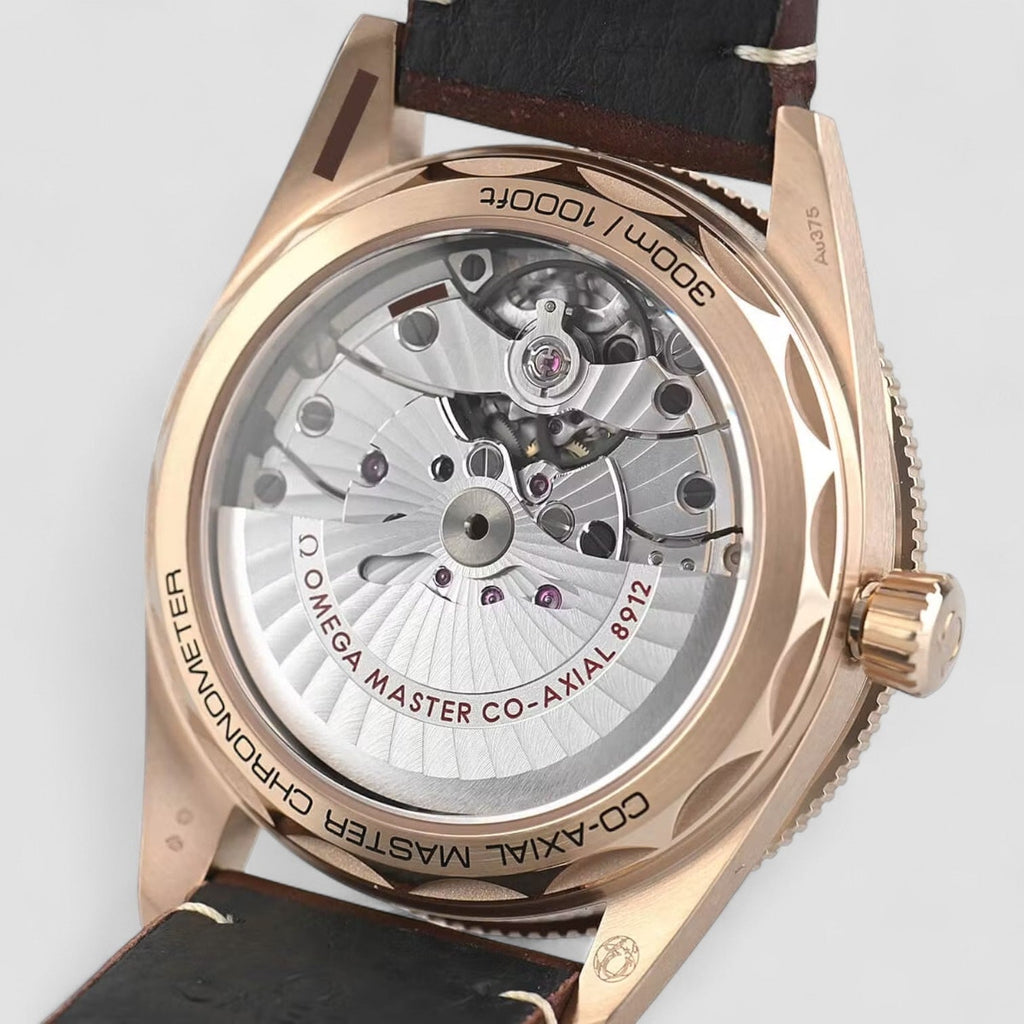Omega 234.92.41.21.10.001