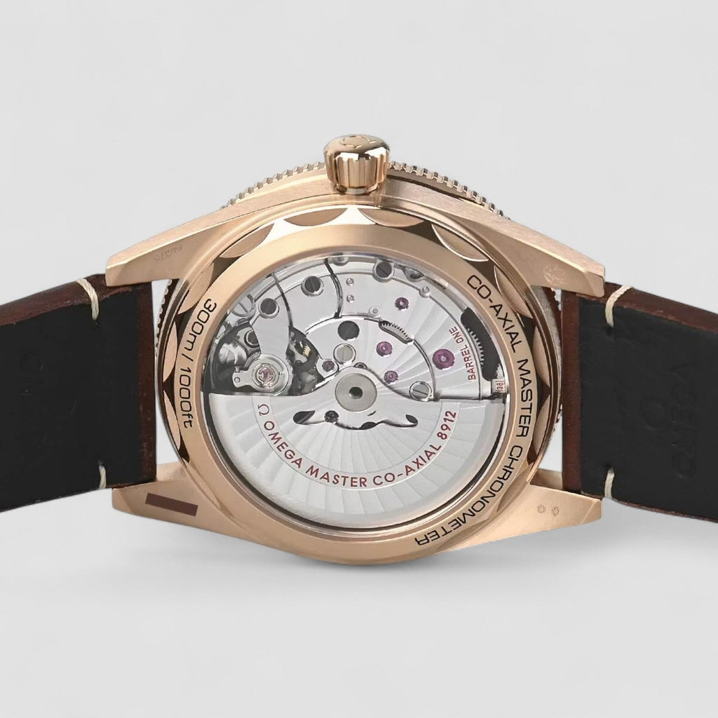Omega 234.92.41.21.10.001