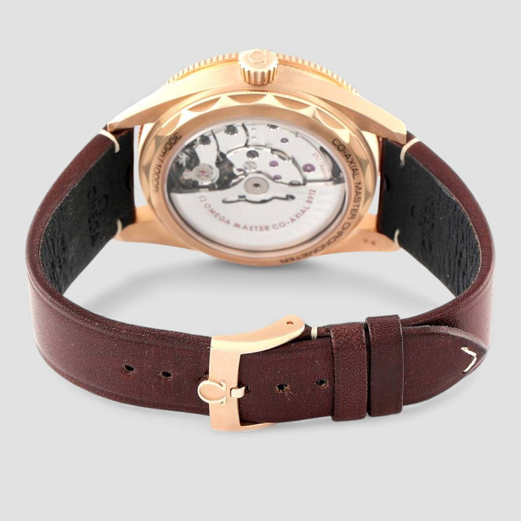 Omega 234.92.41.21.10.001