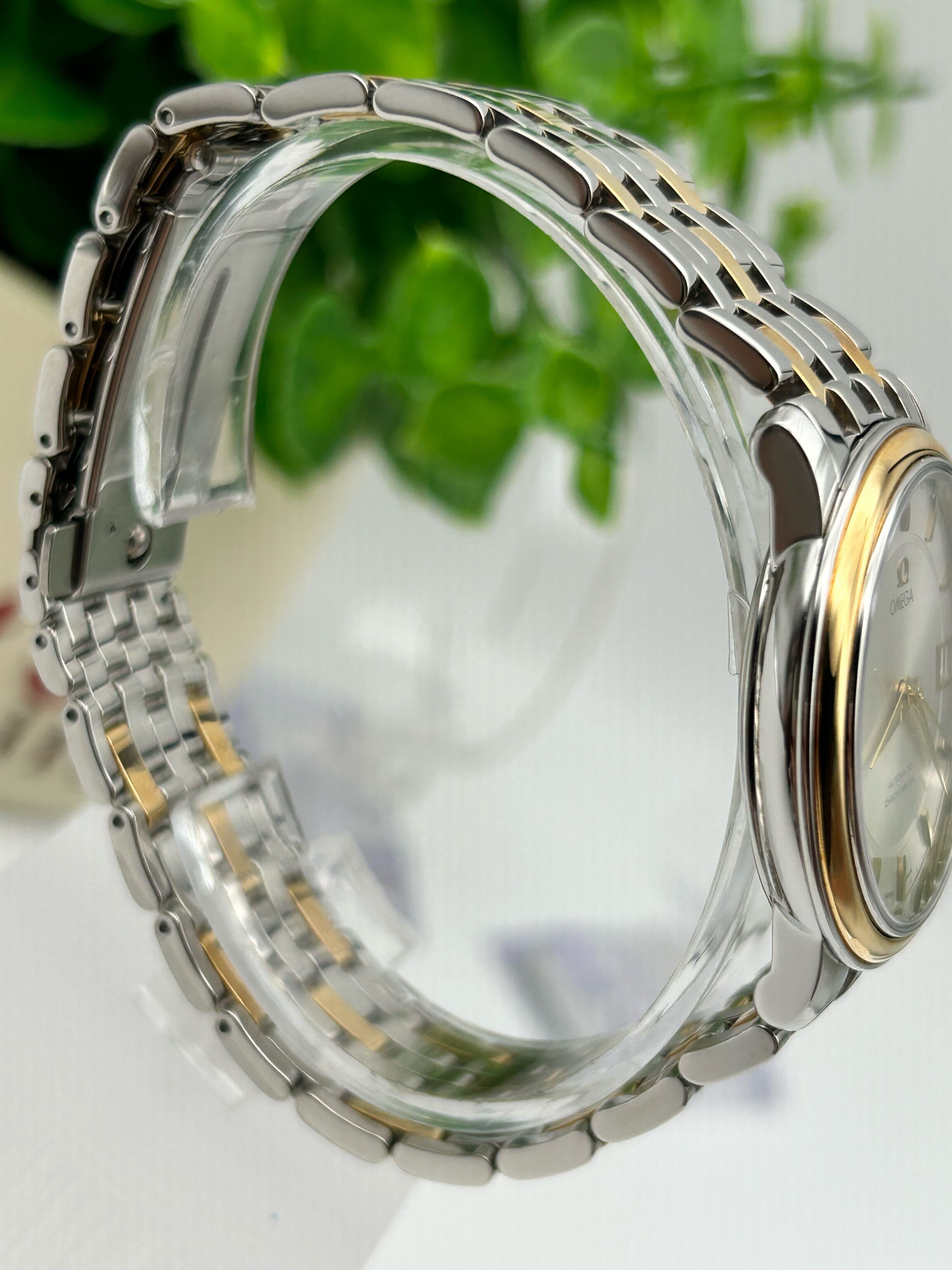Omega 4300.31.00